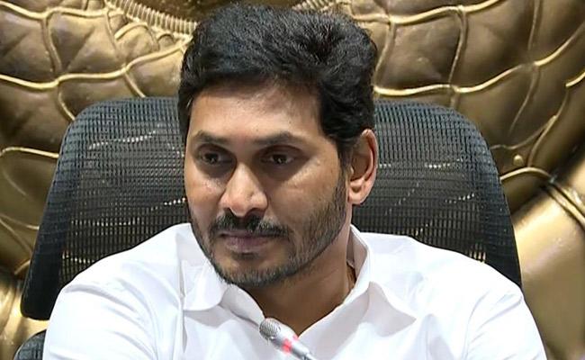 Covid-19: JD, JP And Pharmacists Support YS Jagan